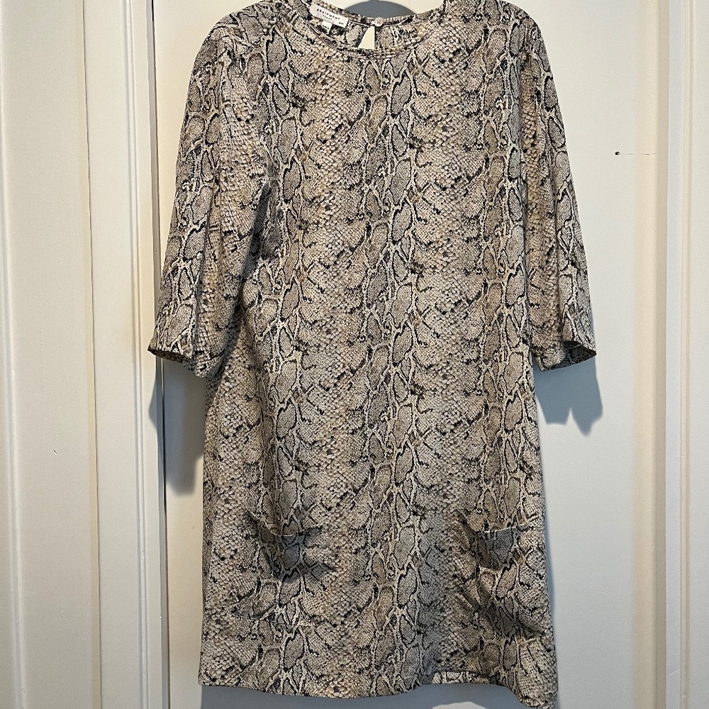 Equipment Femme Aubrey Silk Shift Dress